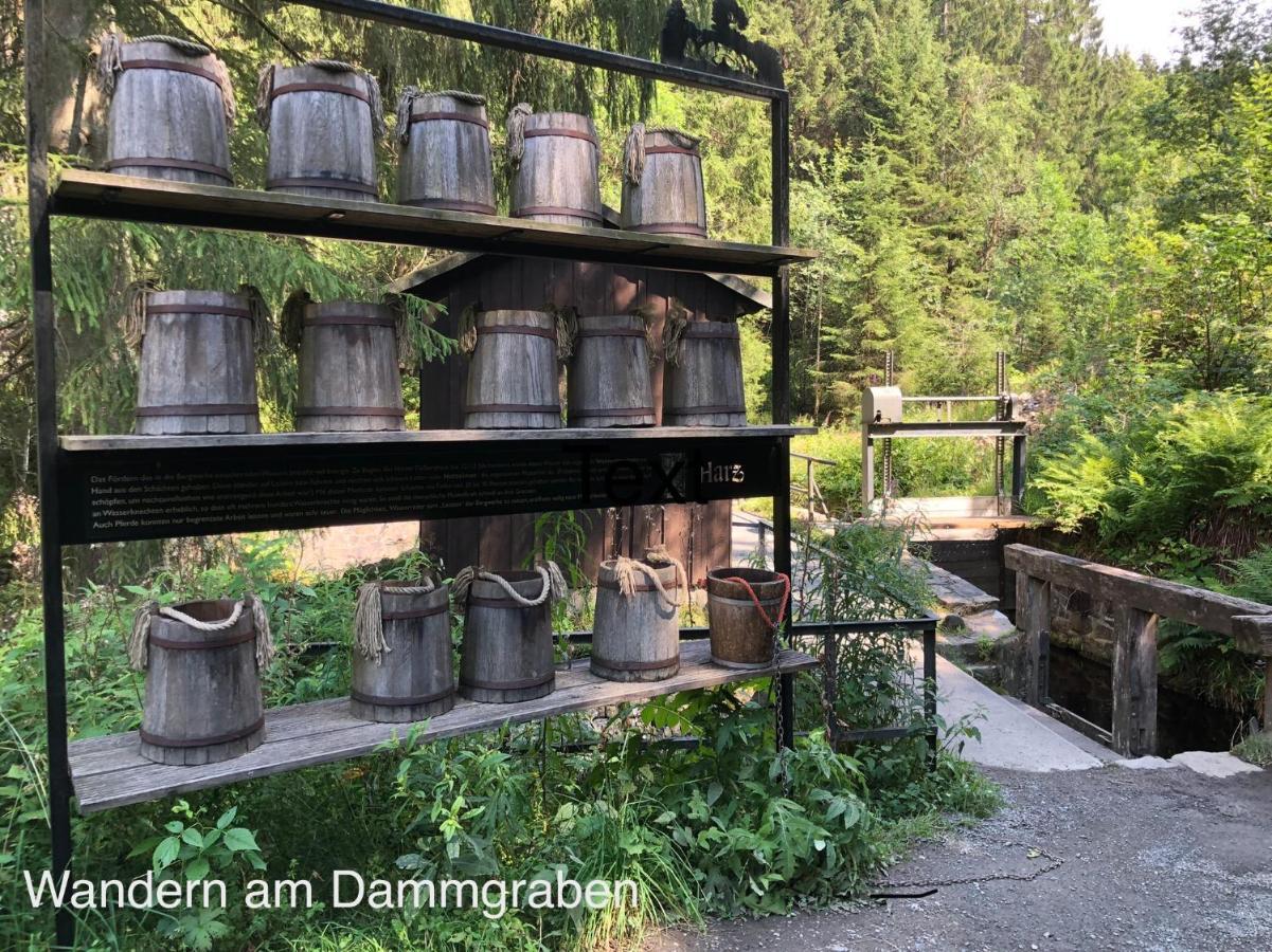Ferienwohnung Am Mühlenberg Altenau  Exterior foto